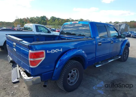 2009 Ford F-150 Fx4/King Ranch/Lariat/Platinum/Xl/Xlt z USA, uszkodzony, nr VIN 1FTPW14V19FA16758